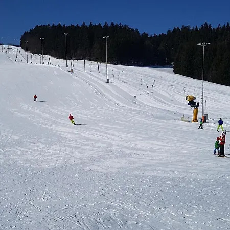 Apartment Wald Im Predigtstuhl *