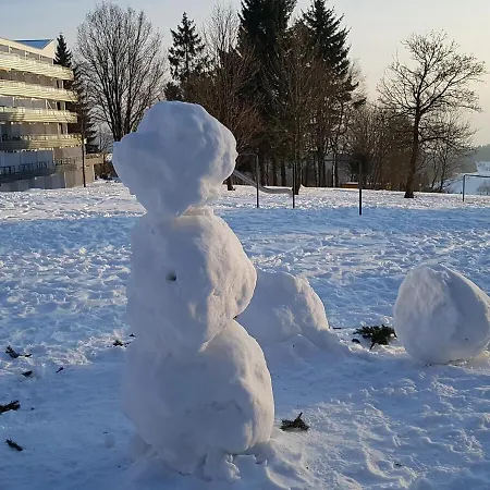 Wald Im Predigtstuhl Apartamento *