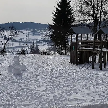 Wald Im Predigtstuhl