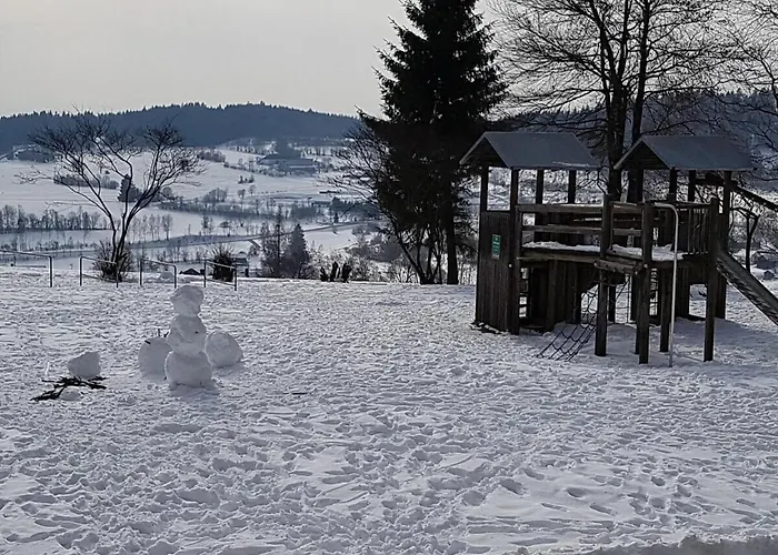 Wald Im Predigtstuhl